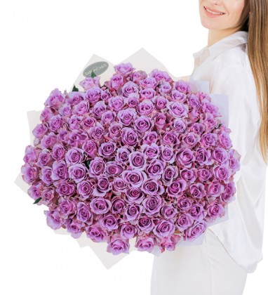 100 Purple Roses